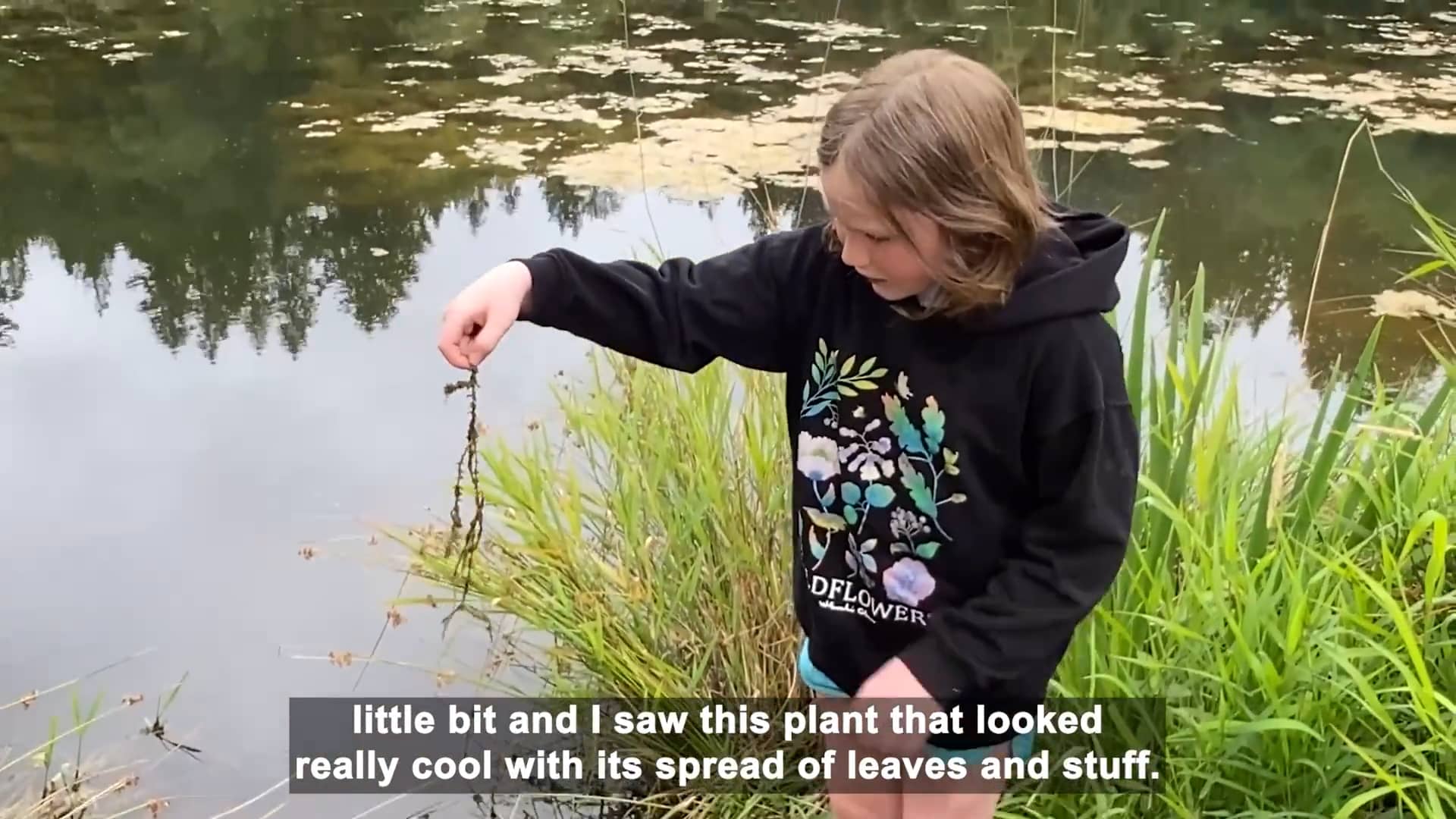 King County’s Young Noxious Weed Hunting Hero on Vimeo