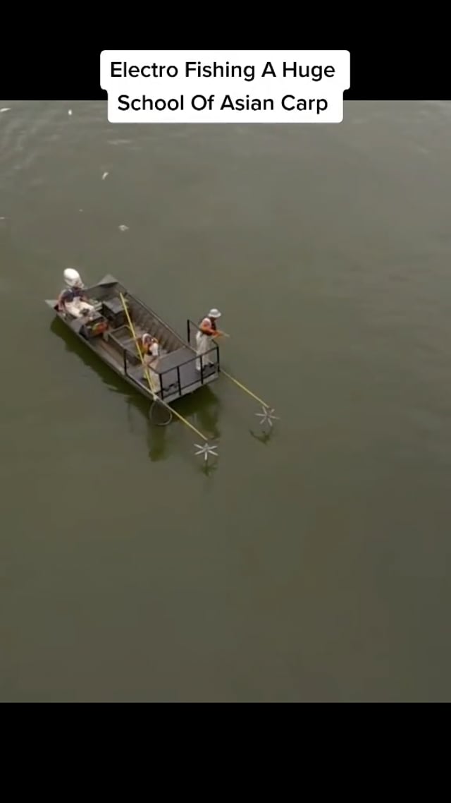 Montague Macleod on Vimeo