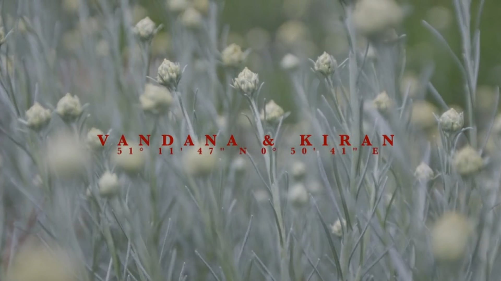 Vandana & Kiran - May 2022
