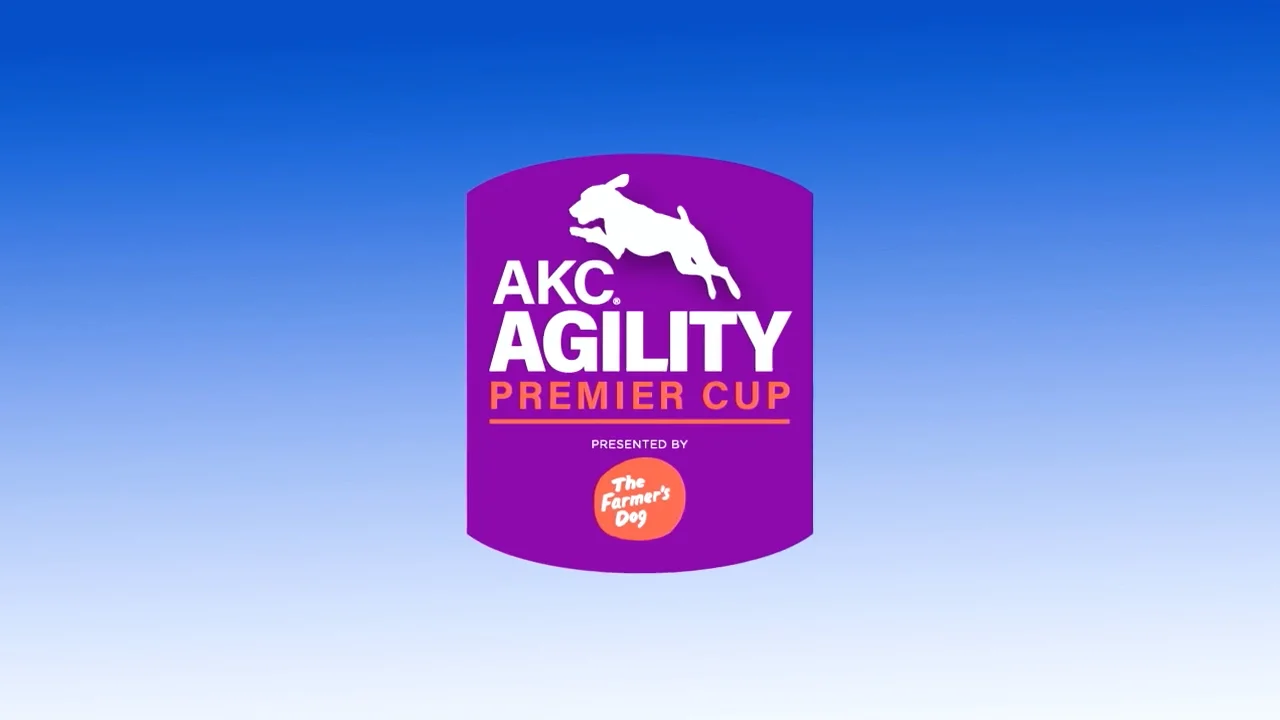 Akc agility premier outlet cup