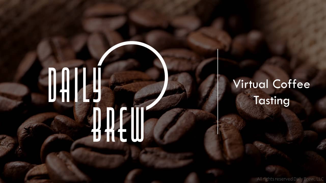 Daily Brew Coffee Tasting - Pt 1 on Vimeo