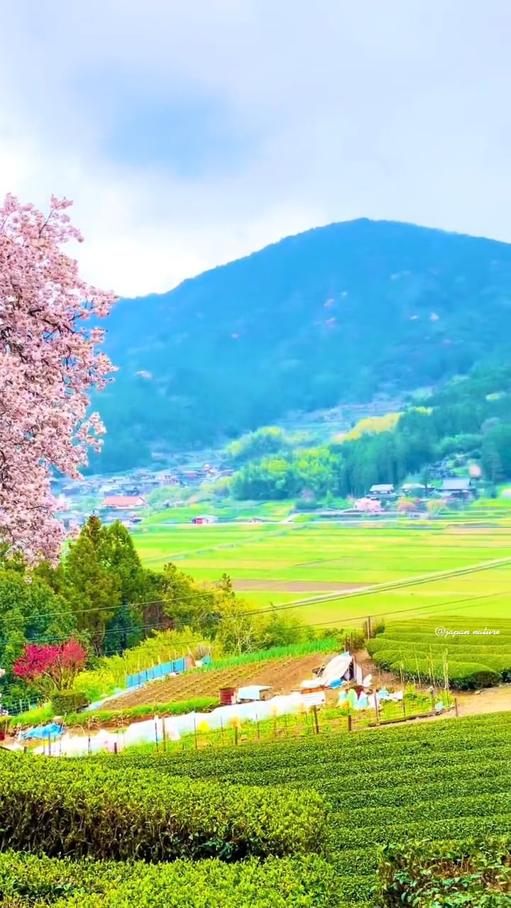 spring and autumn on Vimeo
