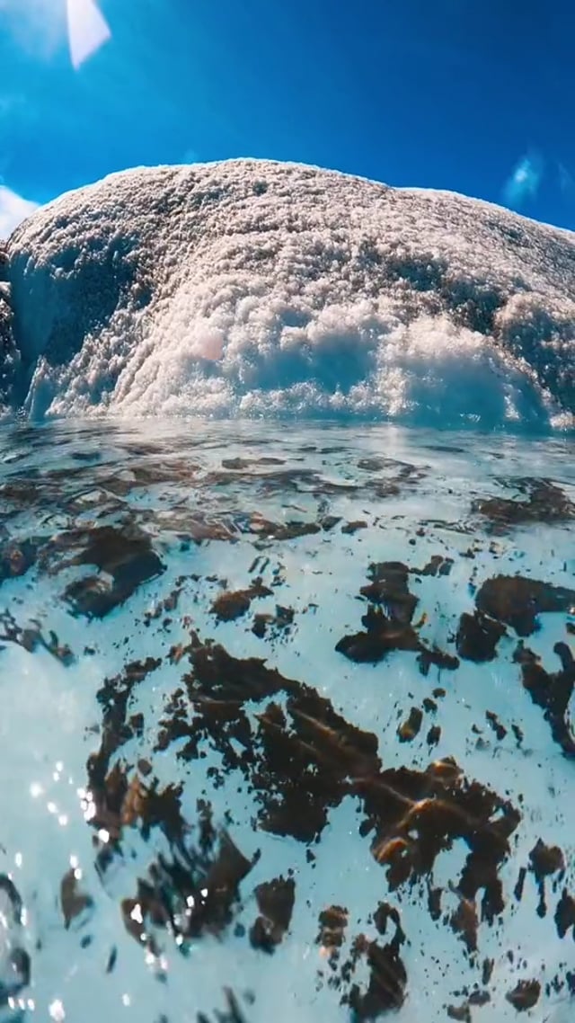 Montague Macleod on Vimeo