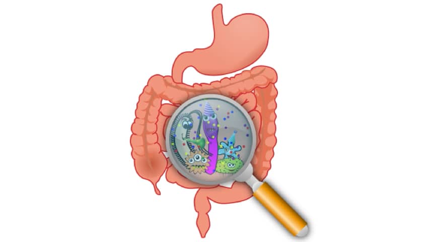 diarrhea-image-pronunciation-on-vimeo