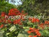 Purpose Done Right - Eden Project
