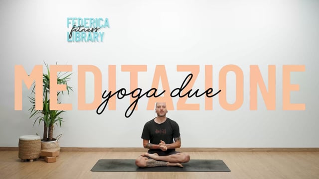 Meditazione Yoga 2.2 – Meditazione: l’arte della stasi