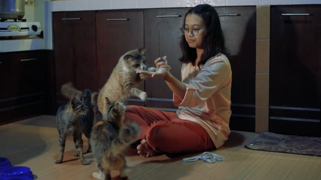 Woman playing with cats