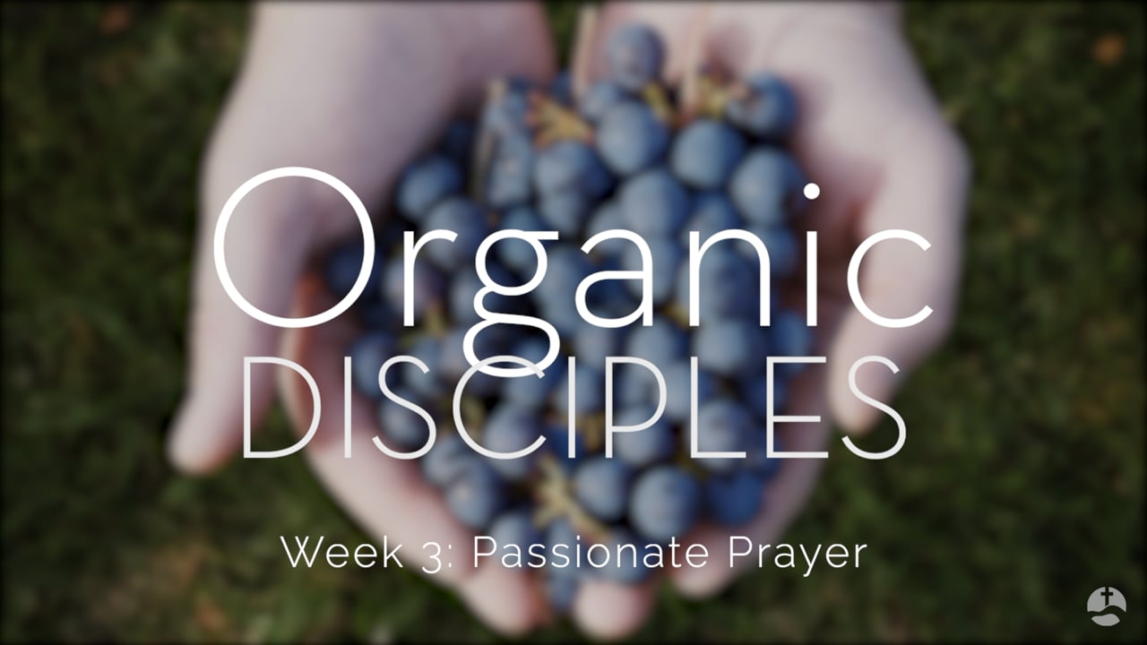 Organic Disciples: How Can Passionate Prayer Change the World?
