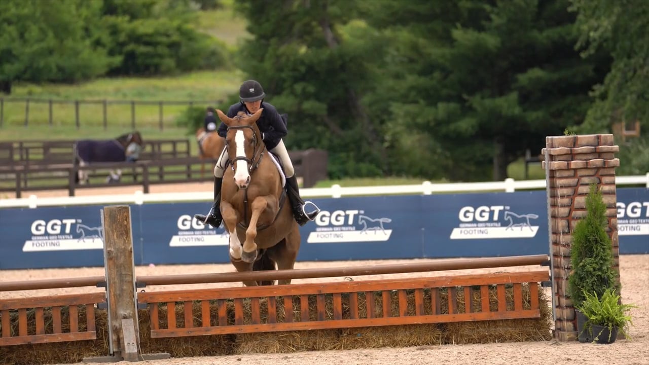 Elizabeth Tarumianz and Mahalo | $2,500 Pinecone Shavings 2'6