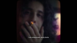 Augusto Gulum (Joselo jovem) - Pico da Neblina - HBO Max