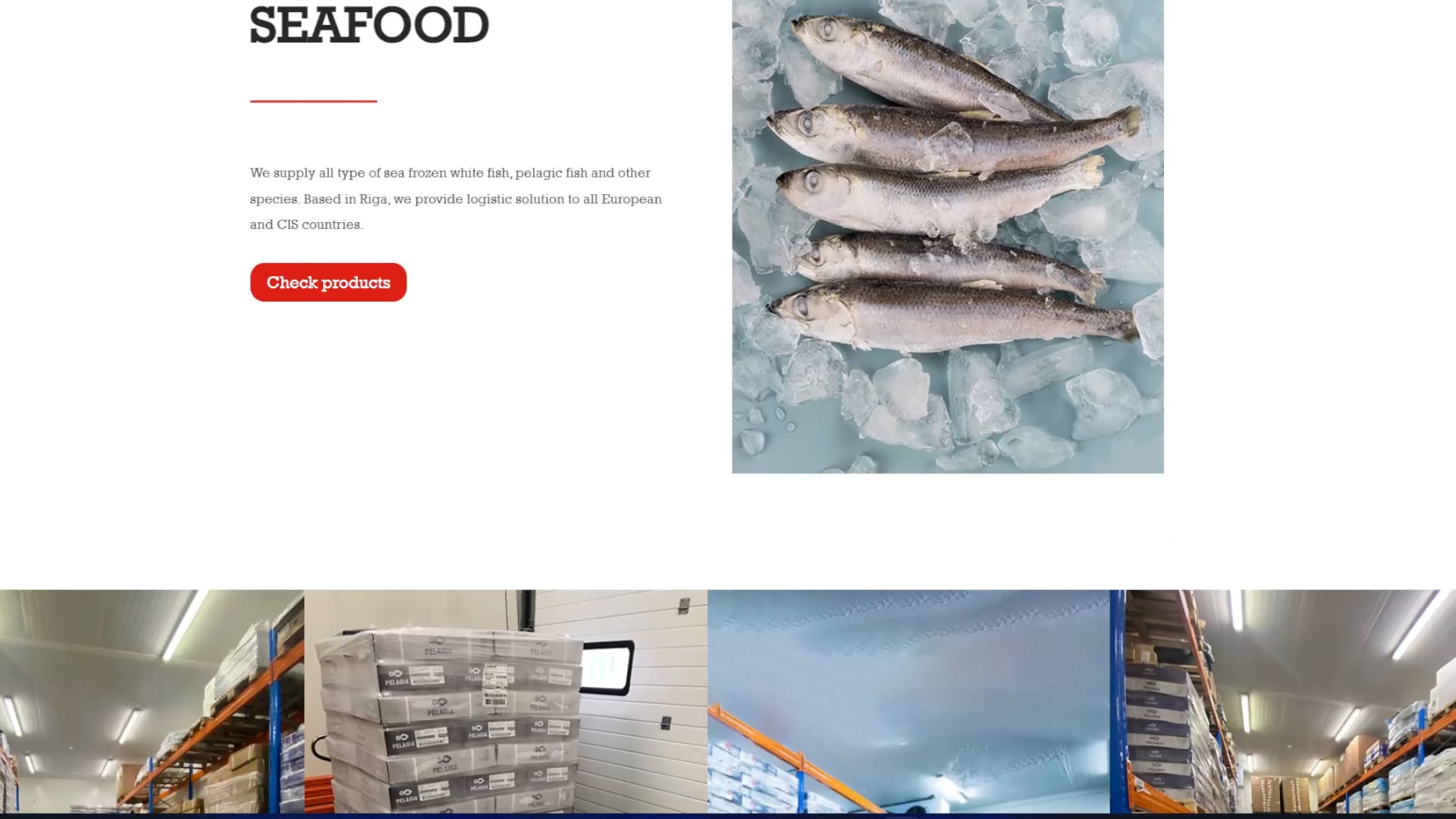 Selling frozen fish company business card site WordPress on Vimeo