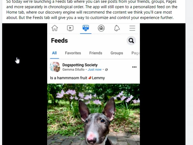 Neuer FB Newsfeed: Teil 2