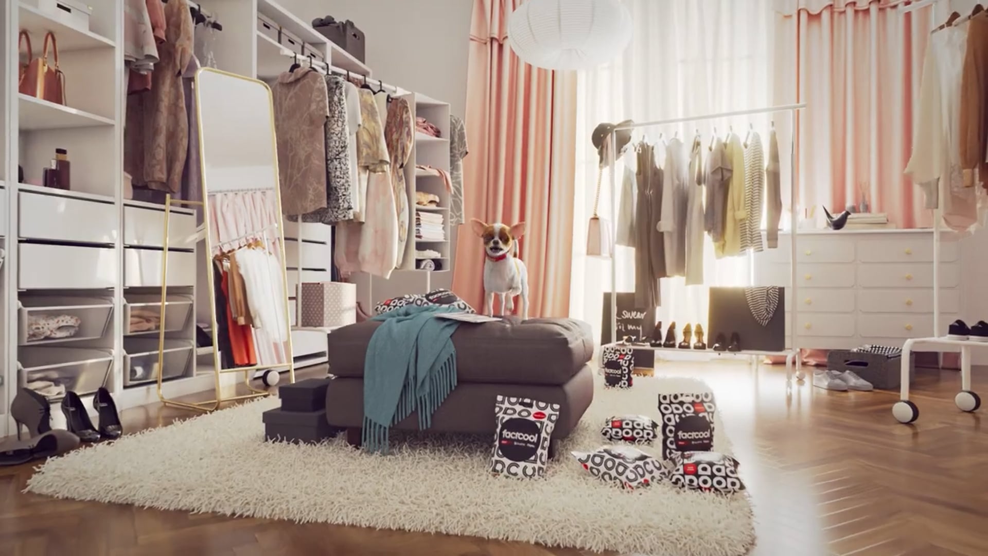Chihuahua Fashion Influencer | Factcool GR