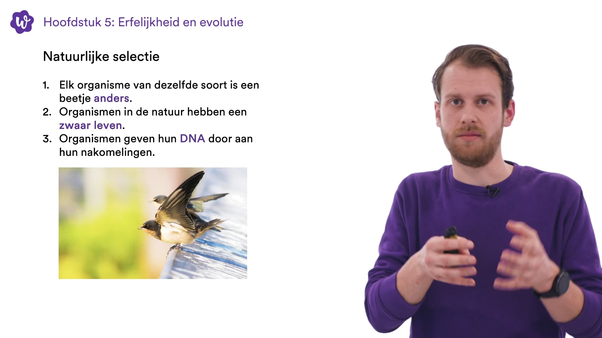 Samenvatting Van Erfelijkheid En Evolutie Uit Biologie Voor Jou / Bvj ...