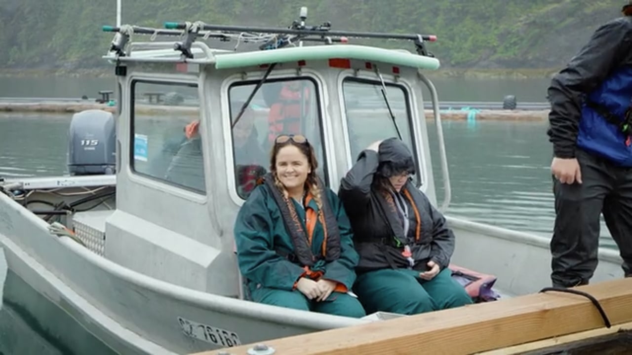 WALTERS COVE RESORT | Our Partners