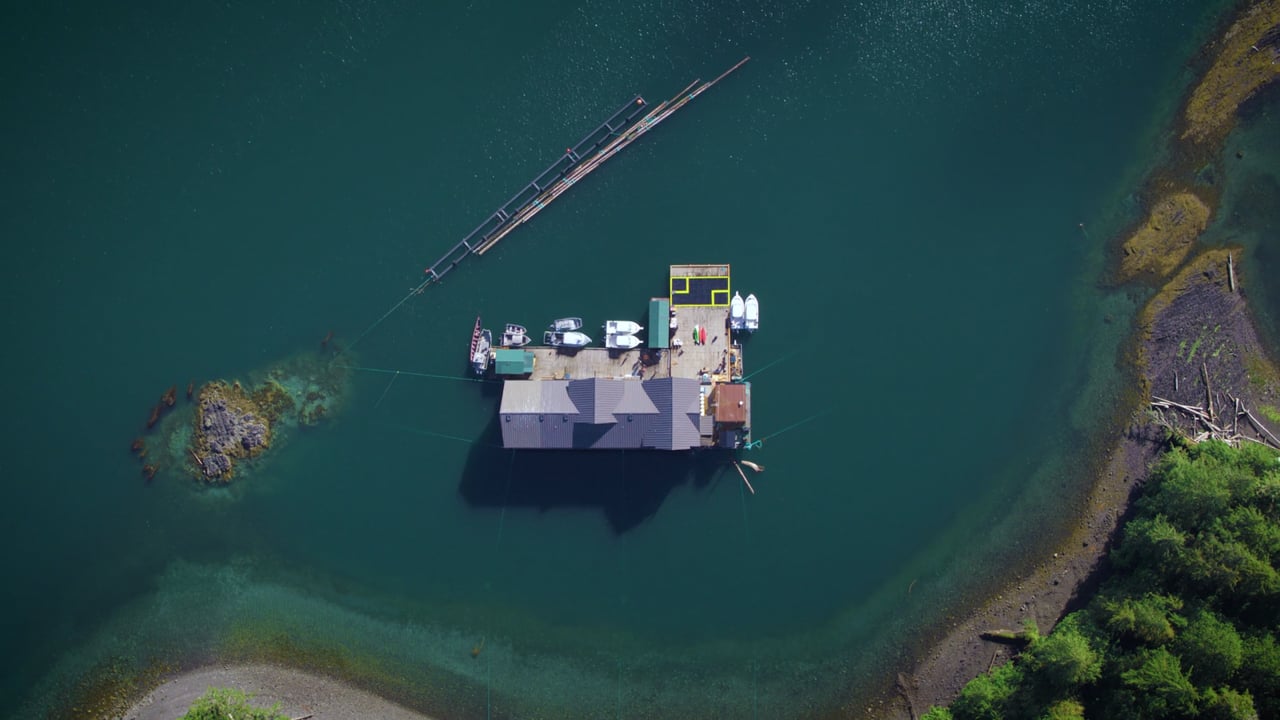 WALTERS COVE RESORT | Grand Reopening