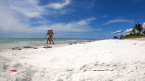 Beaches of Tampa Bay: Belleair