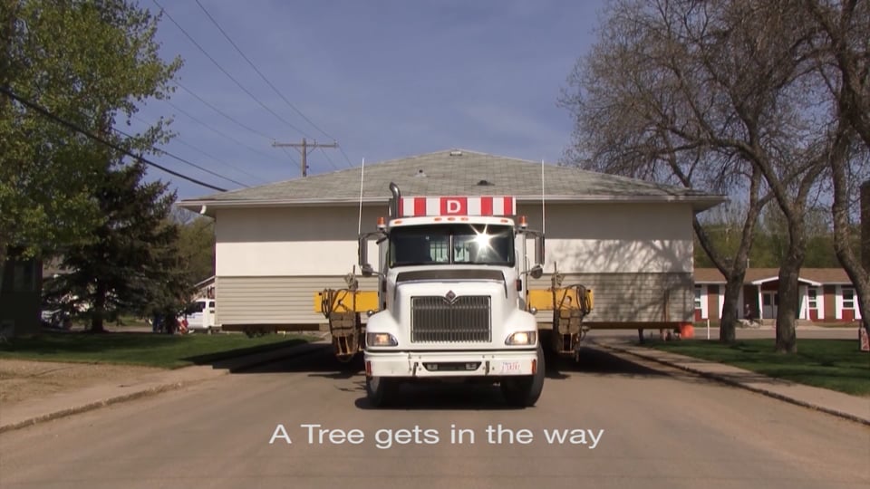 A Tree Gets in the Way