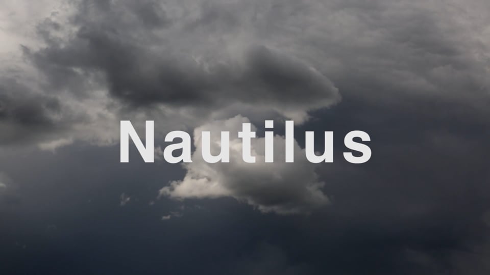 Nautilus