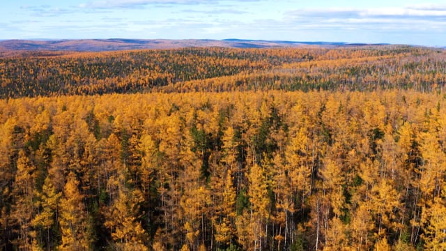 Autumn in the Urals and Siberia