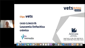 Leucemia linfocítica crónica