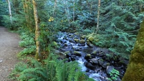 Rocky Brook Falls