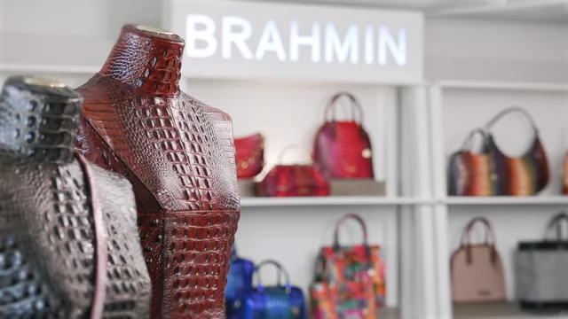 Brahmin 40 Year