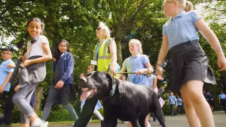 Beaumont Primary Academy Promotional Video by Blue Apple Education