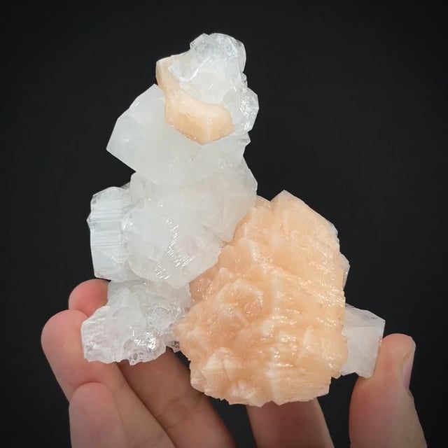 Fluorapophyllite-(K) and Stilbite (Currier Coll.)