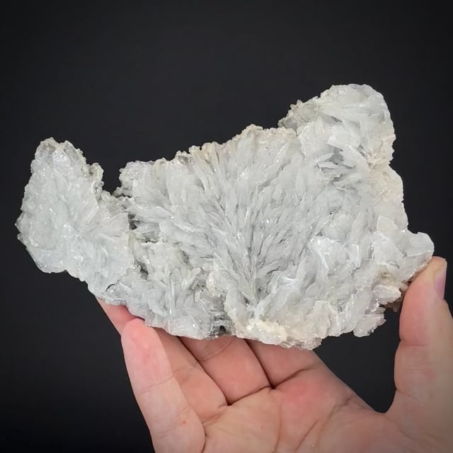 large Baryte (classic locale) Hunt Coll.