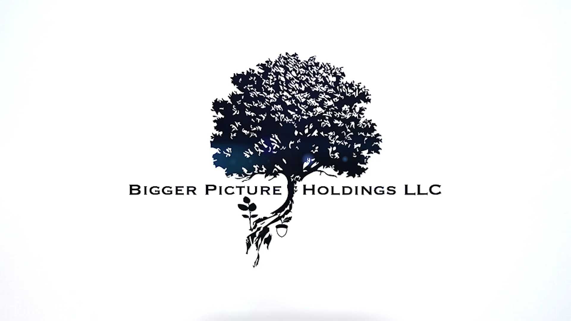 bigger picture holdings llc bio video