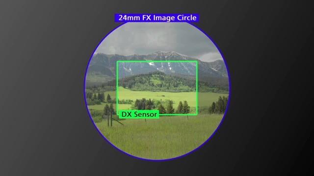 dx crop sensor