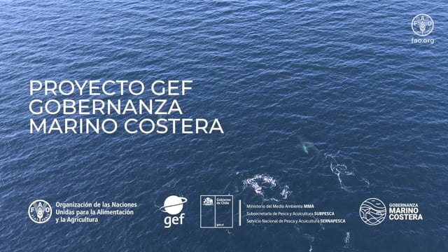 Proyecto GEF. Gobernanza Marino Costera. Zona Sur