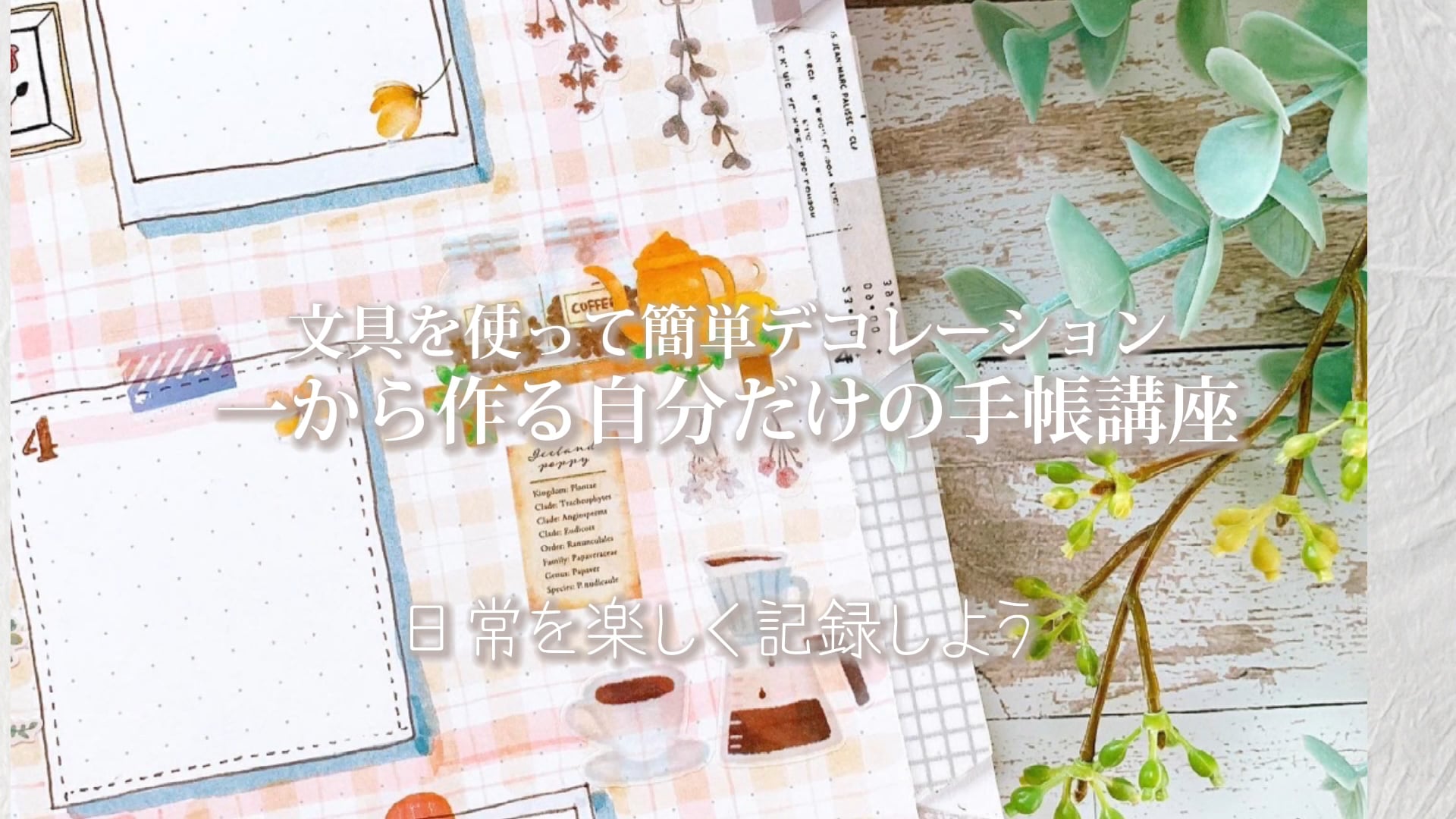 予告編動画のサムネイル画像