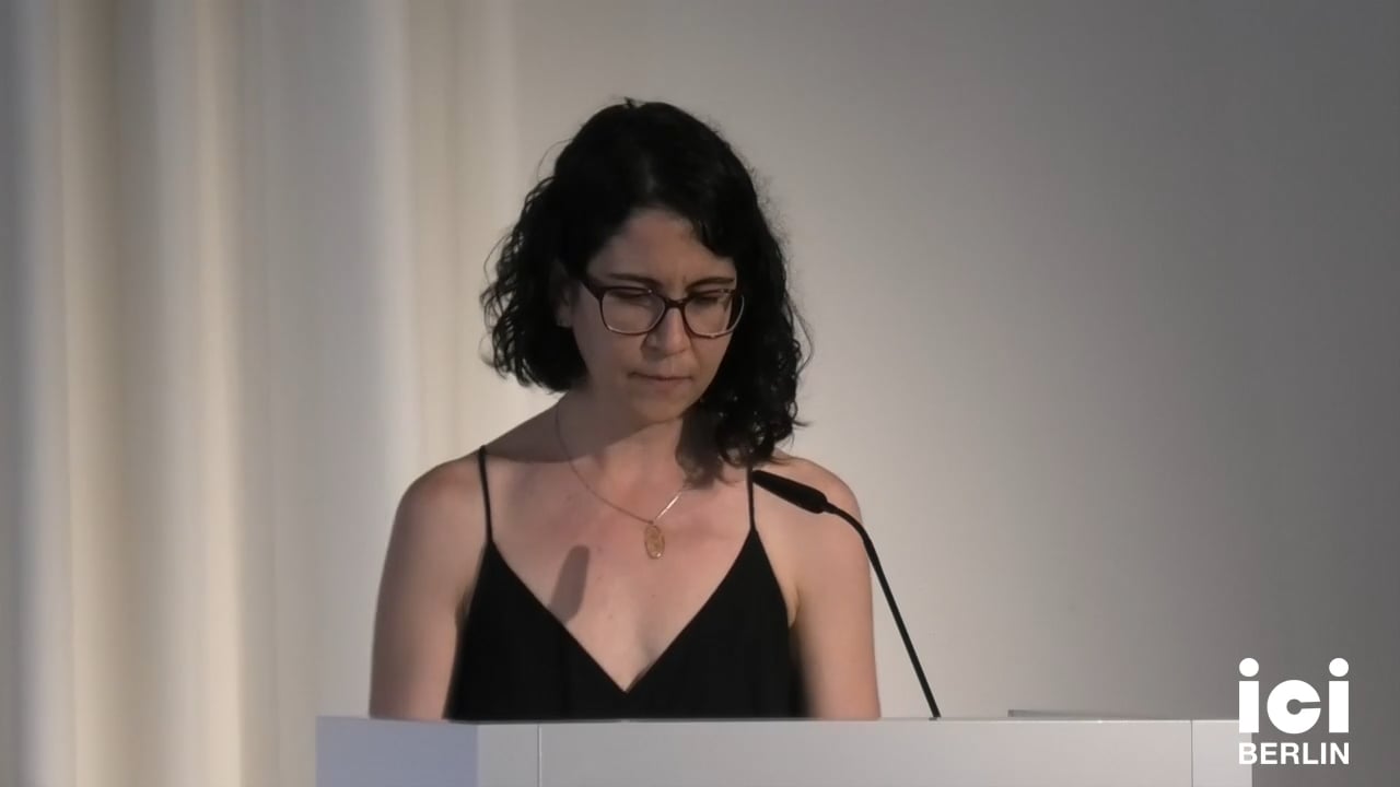 Talk by Iracema Dulley
