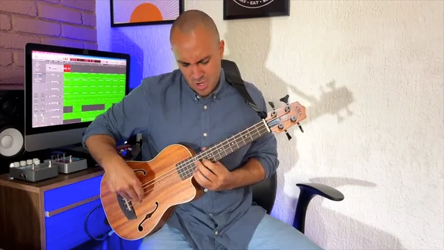 Journeyman Acoustic-Electric U•BASS® with F-Holes – Kala