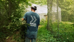 Carolina Tiger Rescue