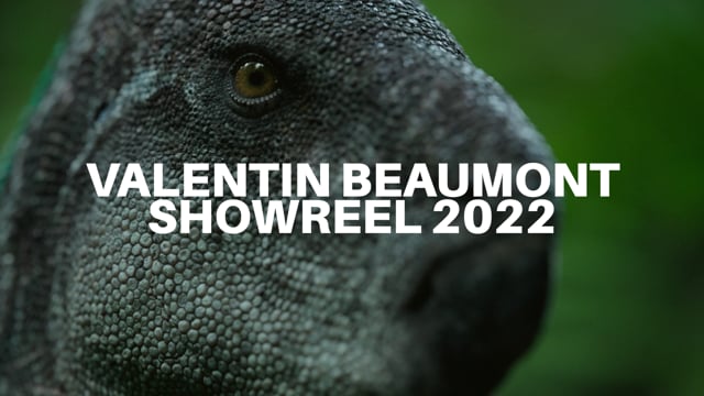 Showreel 2022 | Valentin Beaumont