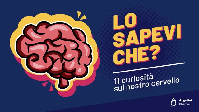 Alla scoperta del cervello