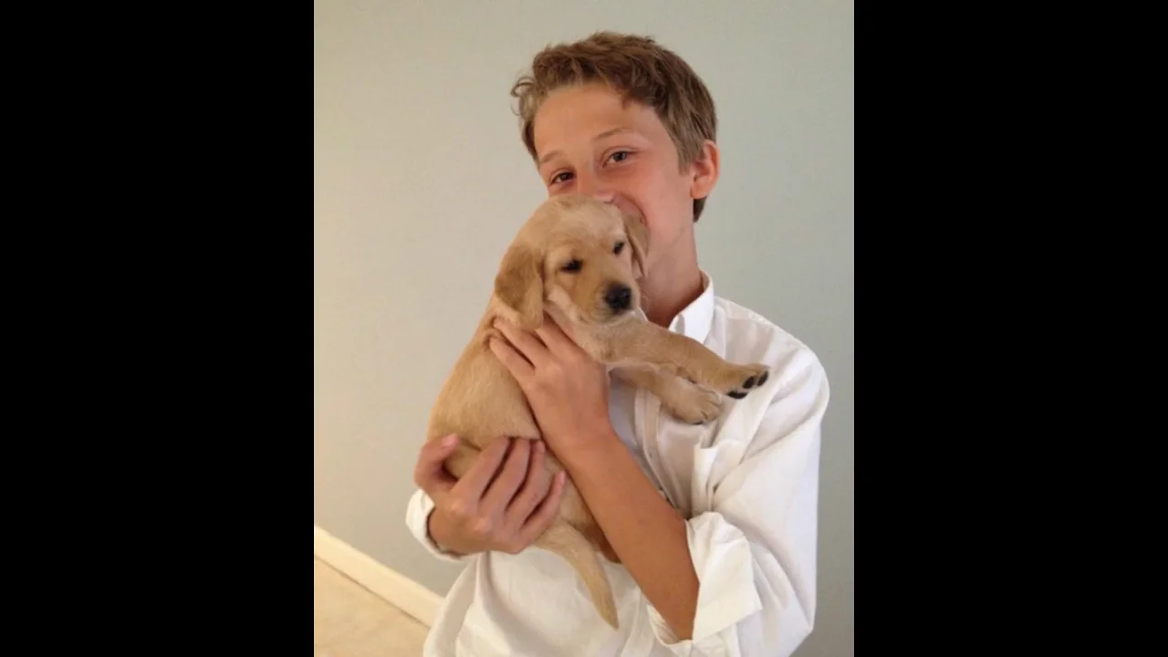 Andrew Rainer.mp4 on Vimeo