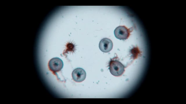 Resident Evil S01E03