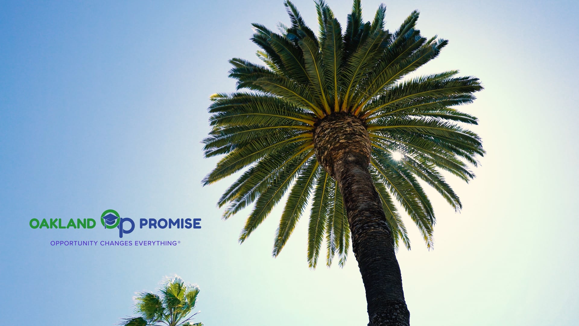 Oakland Promise Event Recap | Cinematic Highlight Reel - 4K