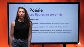 video : les-figures-de-sonorites-3579