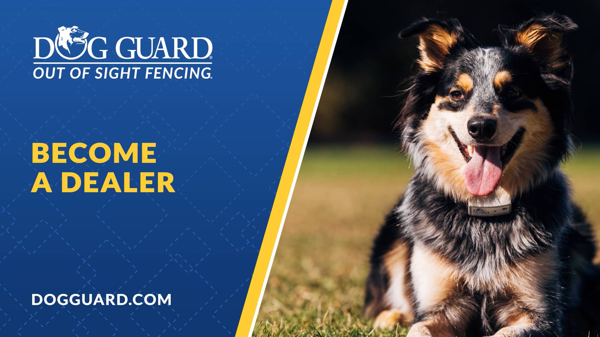 a Dog Guard Dealer on Vimeo