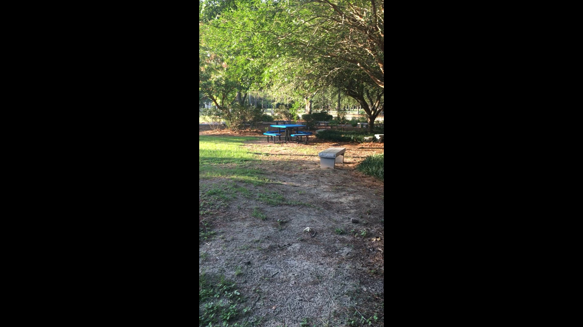 City Government OFFERMAN