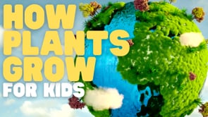 How Plants Grow for Kids