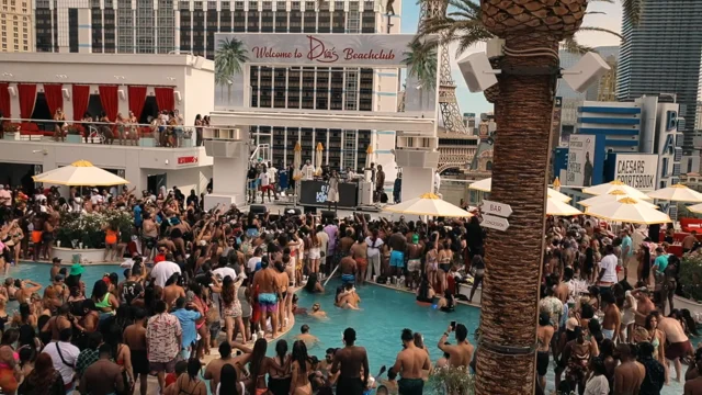 Drai's Beachclub  Las Vegas Dayclub Guide & FAQs [2023]