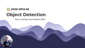 Learn How to Integrate an Object Detection Model in a Custom Application