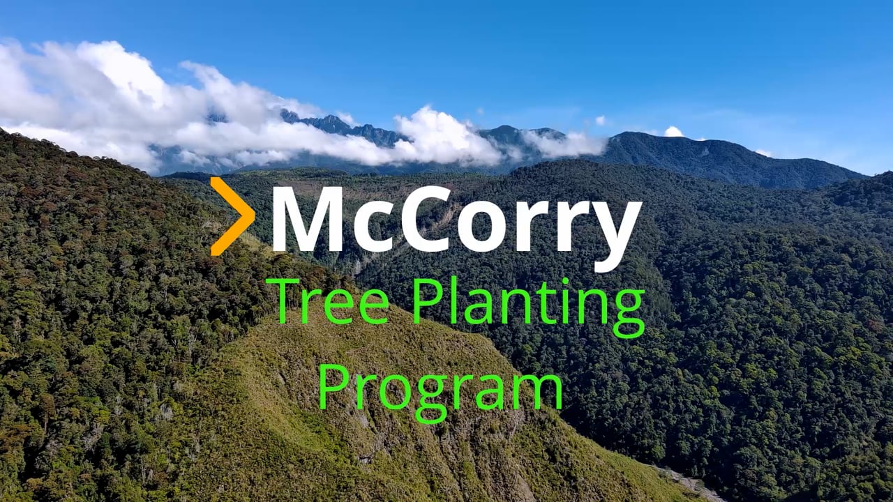McCorry Video.mov