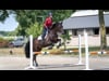 Bounces - The Foundation of The Jumping Position